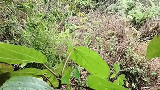 Fucking at jungle showing of own land