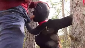 Outdoor Sex in the Wood. Wearing Sweet Clothes and High Heels, Bound, Throated and Hammered