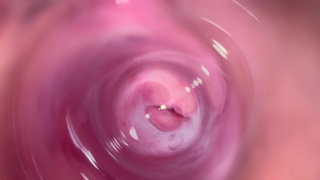 Webcam deep inside Mia's teeny creamy vagina